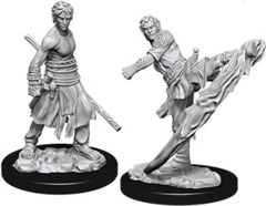 Half-Elf Monk Male (Nolzur's - W10)
